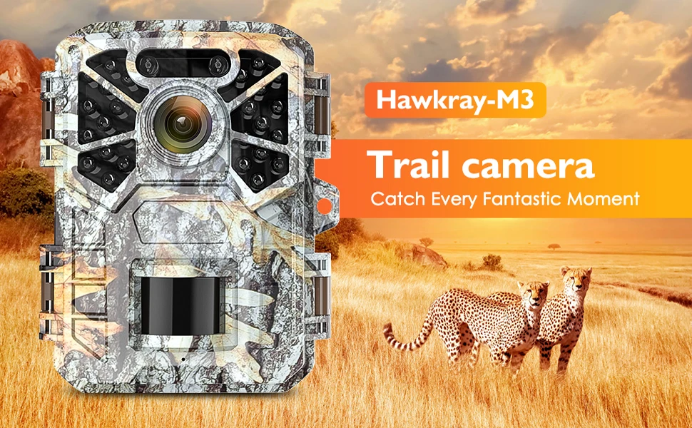 Mini trail camera